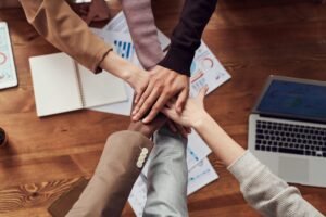 Creativity, Expertise and Passion