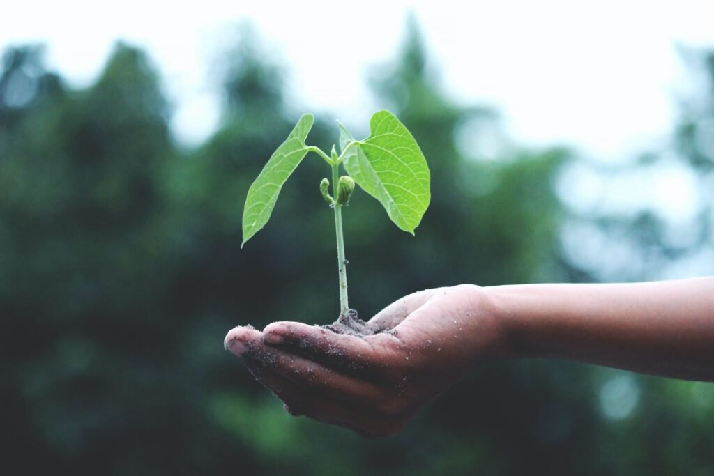 Grow your business with CRM